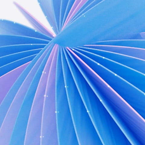 Lalin Agency Instagram